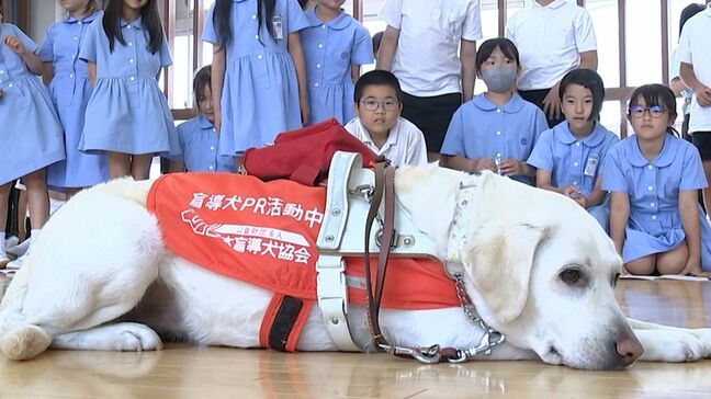 「みなさんにもできることがある」　小学校で盲導犬の役割について知ってもらう出前授業のキャラバン【岡山】|TBS NEWS DIG