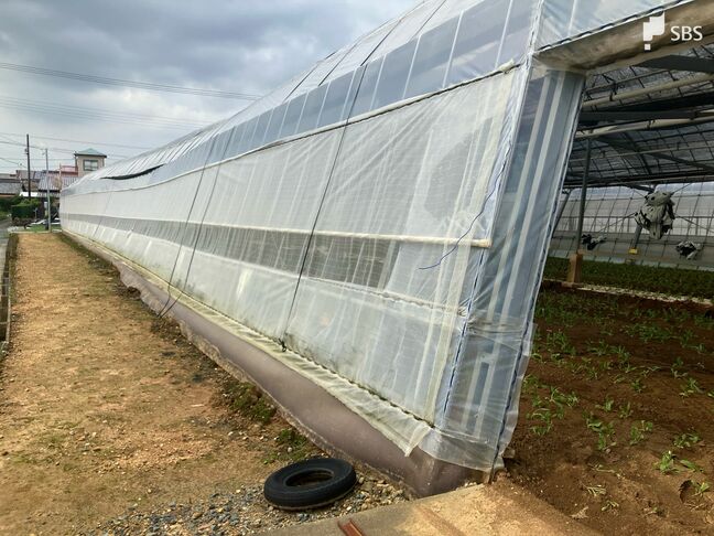 「急にゴーッと大きな音が…」台風10号の影響か　突風で農業用ビニールハウス十数棟壊れる被害＝浜松市|TBS NEWS DIG