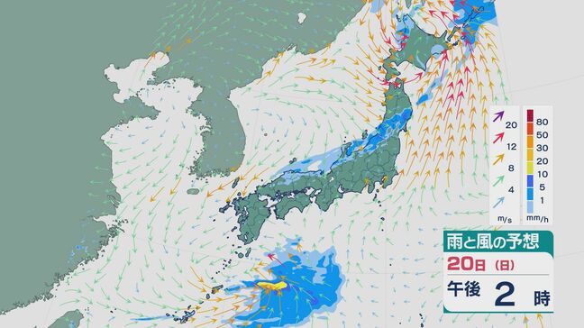 低気圧からのびる「寒冷前線」の通過で20日は北陸など日本海側では急な強い雨や落雷などに注意を 雨と風の予想シミュレーション|TBS NEWS DIG