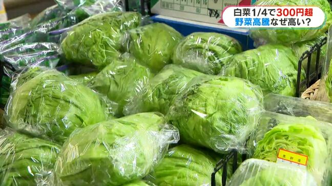 レタス1玉378円　ハクサイ1/4で302円…野菜高騰なぜ？手ごろな野菜は？　鹿児島|TBS NEWS DIG