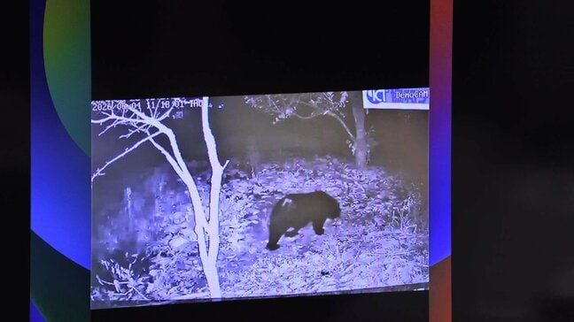 遠野市のケーブルテレビ会社がAI機能を搭載したカメラを使ってクマを検知するシステムを開発 実証実験行われる 岩手|TBS NEWS DIG