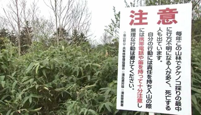 ネマガリダケを採りに山に入った76歳女性 滑落し腕の骨などを折る大けが 長野・高山村|TBS NEWS DIG