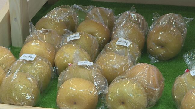 「新鮮な気持ちで見られる」3連休最終日 道の駅になったいわき・ら・ら・ミュウにぎわう 福島|TBS NEWS DIG