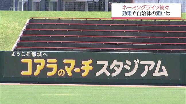 「コアラのマーチスタジアム」で売上増？財源確保と広告効果を狙うネーミングライツの導入が加速|TBS NEWS DIG