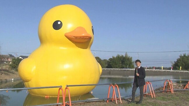 巨大アヒル「ラバーダック」九州初上陸　国東半島芸術文化祭の目玉展示　大分|TBS NEWS DIG