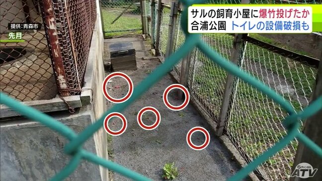 「本当にとんでもないことをやってくれた」公園内のサルの飼育小屋に『爆竹』　小屋に向かって投げ込まれたものか　公衆トイレの窓ガラスや蛇口が破損など被害が相次いでいた青森市「合浦公園」|TBS NEWS DIG