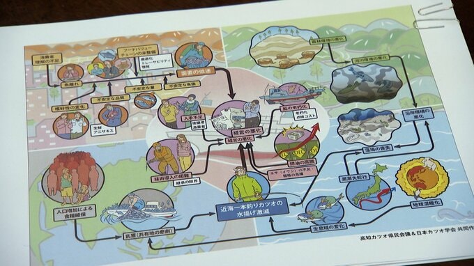 「おいしいカツオを永遠に食べ続けるために」“高知カツオ県民会議”が課題を議論「今年は白黒つける年」|TBS NEWS DIG