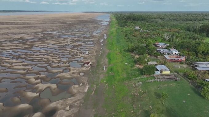 ブラジル　雨不足が深刻　アマゾンではすでに本州の約半分の面積が消失|TBS NEWS DIG