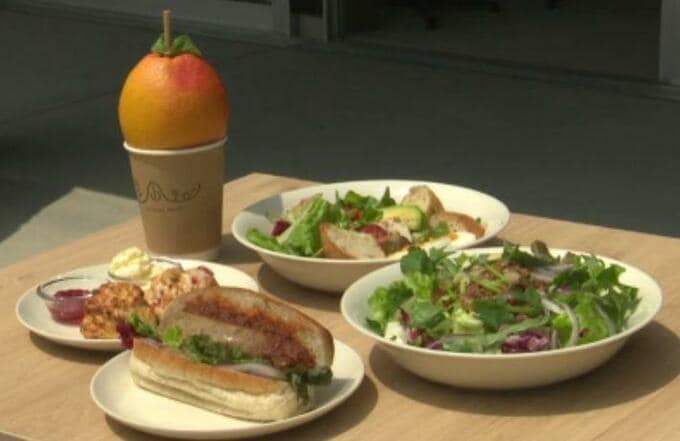 FC今治の里山スタジアムにカフェオープン! | 愛媛のニュース - Nスタえひめ|あいテレビは6チャンネル