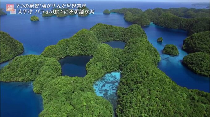 世界遺産・絶景の島で生まれる「羽毛の宝石」と最高級ダウン　人とカモが共生するノルウェー・ヴェガ群島|TBS NEWS DIG
