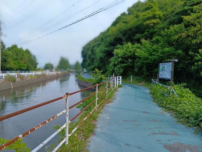 【速報】通学路で倒木発生　自転車の中学生が巻き込まれ負傷、救急搬送|TBS NEWS DIG