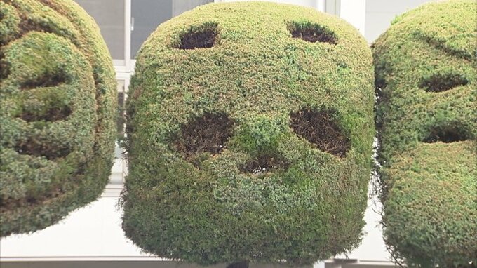 「これはナンダ？」　市役所駐車場の植木アートに新キャラ登場！　山梨　|　山梨のニュース | ＵＴＹテレビ山梨