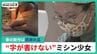 “字が書けない”ミシン少女…学校に行けずも「誰かが喜んでくれのが、本当にうれしくてうれしくて」得意な作品で感謝を伝える新作…向き合い続ける書字障害　|　石川県のニュース｜MRO北陸放送
