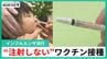 母親「トラウマにならない」注射しないインフルエンザ予防接種 “フルミスト” ウイルスが検出される？デメリットは？医師に聞いてみた　|　石川県のニュース｜MRO北陸放送