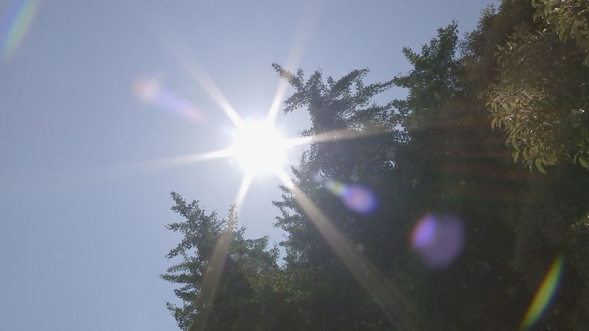 【速報】国内で2日連続の猛暑日に 福島と埼玉で気温35度観測 | TBS NEWS DIG