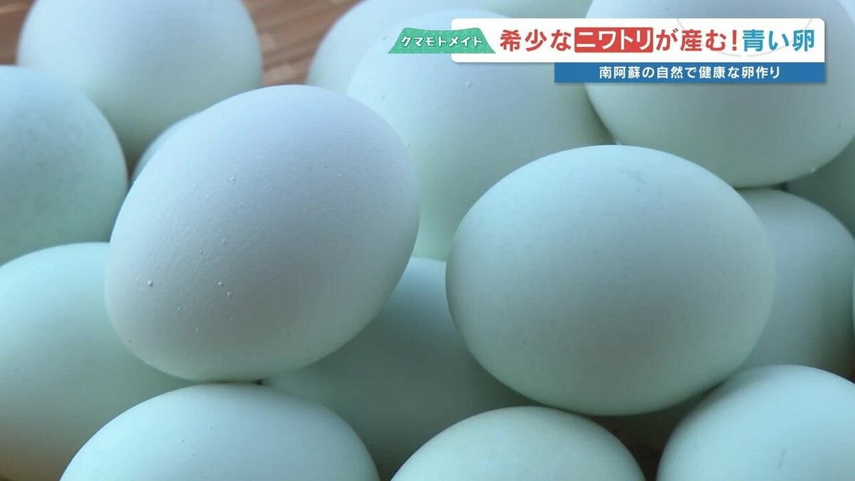 卵の殻って何色？ 今日の答えは「青」　希少なニワトリが産む“雲海ブルーのたまご”　生産者にいろいろ聞いてみた