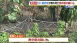 兵庫県内の畑や路上で男性2人死亡…熱中症の疑いも　畑で倒れていた男性は外傷なく死後硬直が進む|TBS NEWS DIG