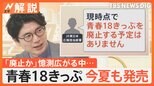 鉄道ファン“安堵”青春18きっぷ 今夏も発売、JR東日本「現時点で廃止する予定はありません」【Nスタ解説】|TBS NEWS DIG