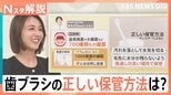 その歯ブラシ、大丈夫?歯垢1gに1000億個の細菌が…風呂場はNG?プロが教える意外な“落とし穴”【Nスタ解説】|TBS NEWS DIG