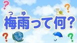 そもそも「梅雨」の定義は??意外とざっくり!|TBS NEWS DIG