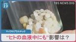 洗濯排水や海、魚、さらには人の血液中からも検出される「マイクロプラスチック」人体に影響は？|TBS NEWS DIG