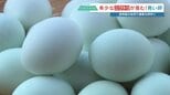 卵の殻って何色？ 今日の答えは「青」　希少なニワトリが産む“雲海ブルーのたまご”　生産者にいろいろ聞いてみた　|　熊本のニュース｜RKK NEWS｜RKK熊本放送