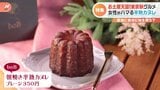 お土産天国東京駅!駅内で焼き上げる作りたて半熟カヌレに、行列が絶えない限定ナッツスイーツ 師走の東京駅で人気のお土産大調査!|TBS NEWS DIG