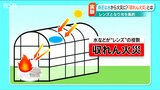 「シートやゴザにたびたび燃えた跡が…」原因は“太陽と水”?身近な“レンズ”がもたらす『収れん火災』に注意 |TBS NEWS DIG