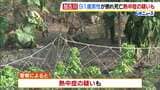 兵庫県内の畑や路上で男性2人死亡…熱中症の疑いも 畑で倒れていた男性は外傷なく死後硬直が進む|TBS NEWS DIG