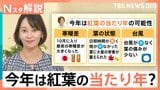 今年は「紅葉の当たり年」!ロープウェイ運賃に価格変動制導入で“紅葉の価値”が上がる?【Nスタ解説】|TBS NEWS DIG