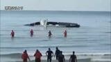 タイのリゾート地で小型機が墜落 5人死亡 1人負傷|TBS NEWS DIG