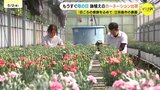もうすぐ「母の日」　“鉢植えカーネーション”の出荷が最盛期　「切り花より長く楽しめるのが特長」　人気の品種は“いちごホイップ”　広島|TBS NEWS DIG