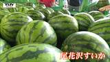 シャリシャリでみずみずしくて甘い！尾花沢スイカ選果場の迫力の光景　今年のスイカもいい出来です！（山形）　|　山形のニュース│TUYテレビユー山形