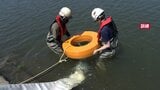大雨で旭川が氾濫した想定で訓練　排水ポンプ車で放水するまでの手順を確認【岡山】|TBS NEWS DIG