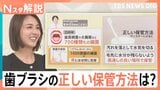 その歯ブラシ、大丈夫？歯垢1gに1000億個の細菌が…風呂場はNG？プロが教える意外な“落とし穴”【Nスタ解説】|TBS NEWS DIG
