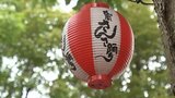 岩泉町小本で観測史上最高36.9度 県内猛暑日続く 「盛岡さんさ踊り」は準備が佳境|TBS NEWS DIG