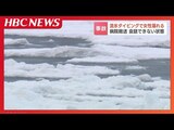 “流氷ダイビング”参加中の女性(61)が溺れて病院搬送 海水を飲んで肺炎を発症…命に別状ないも会話はできず 北海道斜里町ウトロ | 北海道のニュース|HBC北海道放送
