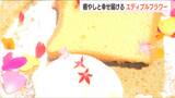 「花って必要なのか?」葛藤の先に… 癒やしと幸せを一瞬で届けるエディブルフラワーカフェに託す思い | 新潟のニュース・天気|BSN NEWS|BSN新潟放送