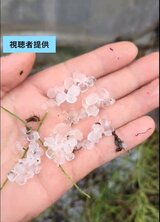 大気不安定「ひょう」も…3日（月）夜遅くにかけ激しい雨、竜巻などの突風、落雷に注意　福島　|　福島のニュース│TUF