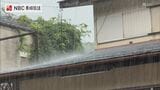【警報級大雨】対馬市で42.5ミリの激しい雨を観測…長崎県内は1日(水)夜遅くにかけ大雨のおそれ、土砂災害に警戒|TBS NEWS DIG