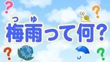 そもそも「梅雨」の定義は??意外とざっくり!|TBS NEWS DIG