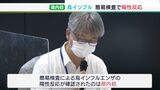 死んだマガモから簡易検査で県内初の鳥インフルエンザ陽性反応　環境省で遺伝子検査実施へ＝静岡|TBS NEWS DIG