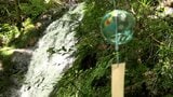 きょうも岡山・香川の各地で猛暑日...心も体も癒やされる津山市の納涼スポットで賑わい|TBS NEWS DIG
