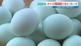 卵の殻って何色? 今日の答えは「青」 希少なニワトリが産む“雲海ブルーのたまご” 生産者にいろいろ聞いてみた | 熊本のニュース|RKK NEWS|RKK熊本放送