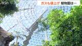 ガス代負担軽減策終了「人間以上にデリケートなので なかなか…」徹底した温度管理を行う植物園の懸念|TBS NEWS DIG