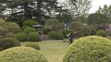 薩摩藩・島津家から婿養子に　八戸藩最後の藩主・南部信順　迎えられた際に造られた庭園　魅力学ぶ　青森県八戸市　|　青森のニュース│ATV NEWS│青森テレビ