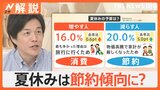 夏休みのレジャー 今年は“節約傾向”　注目の「避暑地」「無料」スポットを紹介【Nスタ解説】|TBS NEWS DIG