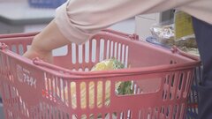 今年2月の家計調査　消費支出はプラス1.6％　4か月ぶりに増加…コロナ禍からの回復や全国旅行支援などで宿泊料・交通費・外食費が大きく増加| TBS CROSS DIG with Bloomberg