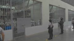 中米エルサルバドル　重罪を犯した未成年を成人用の刑務所に収監することを認める法案可決| TBS CROSS DIG with Bloomberg