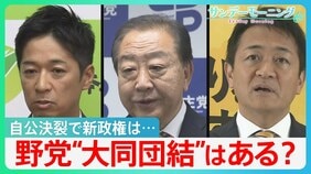 自公決裂で新政権は…「総理指名」へ各党の駆け引き激化　野党“大同団結”はある？【サンデーモーニング】|TBS NEWS DIG